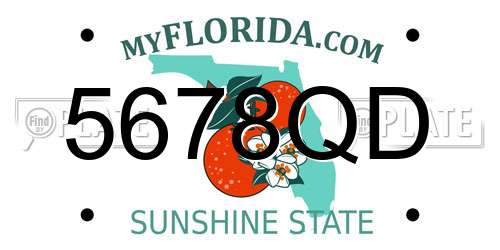 5678QD Florida License Plate