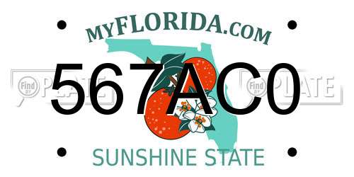 567AC0 Florida License Plate