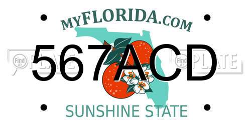 567ACD Florida License Plate