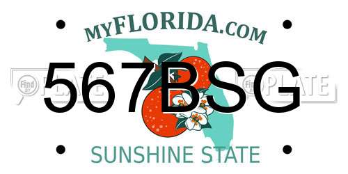 567BSG Florida License Plate