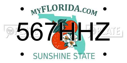 567HHZ Florida License Plate