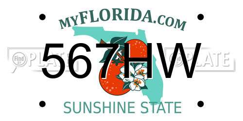 567HW Florida License Plate
