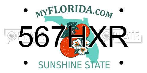 567HXR Florida License Plate