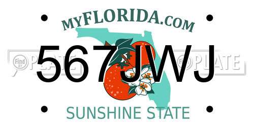 567JWJ Florida License Plate