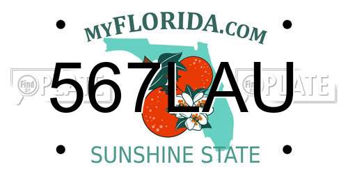 567LAU Florida License Plate