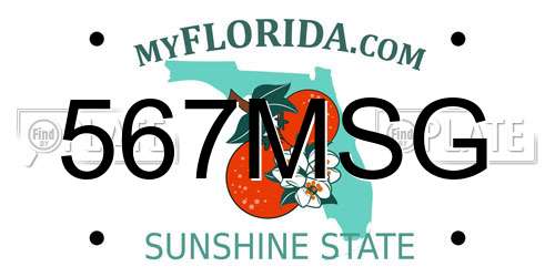 567MSG Florida License Plate