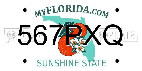 567PXQ Florida License Plate