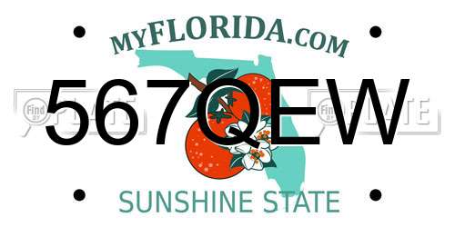567QEW Florida License Plate