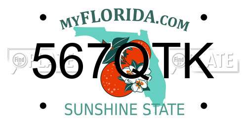 567QTK Florida License Plate