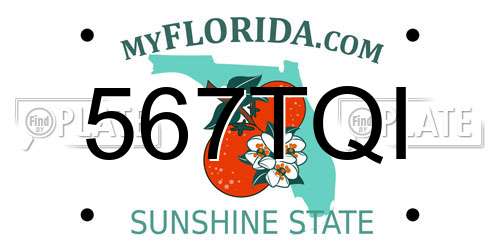 567TQI Florida License Plate