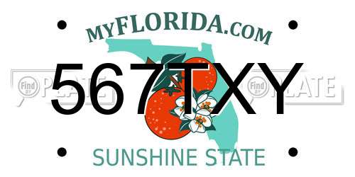 567TXY Florida License Plate