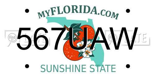 567UAW Florida License Plate