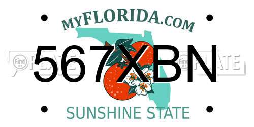 567XBN Florida License Plate