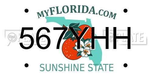 567YHH Florida License Plate