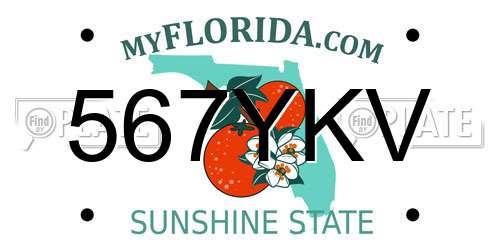 567YKV Florida License Plate