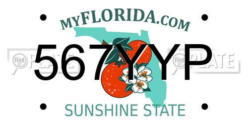 567YYP Florida License Plate