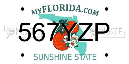 567YZP Florida License Plate