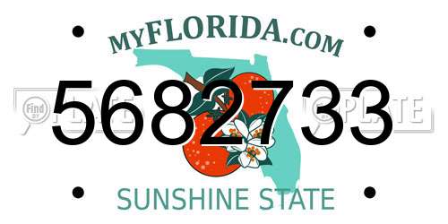 5682733 Florida License Plate