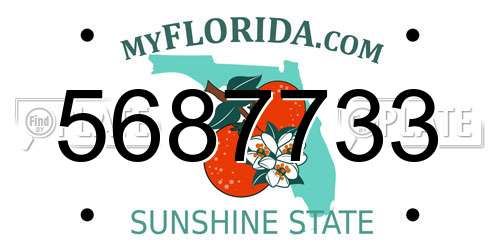 5687733 Florida License Plate