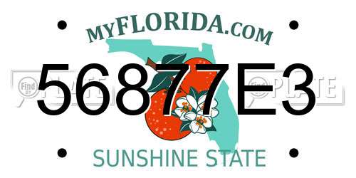 56877E3 Florida License Plate