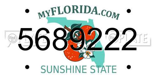 5689222 Florida License Plate