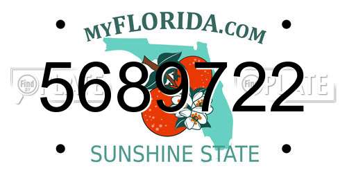 5689722 Florida License Plate