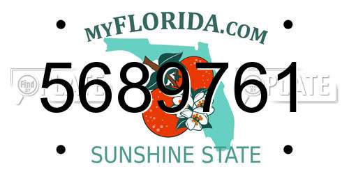 5689761 Florida License Plate