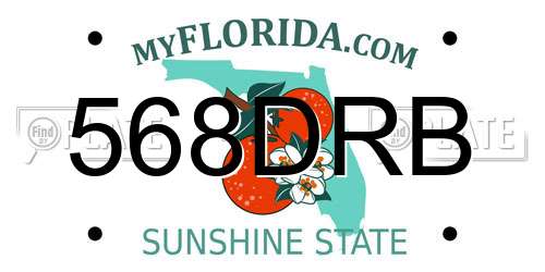 568DRB Florida License Plate
