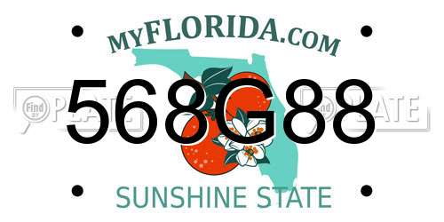 568G88 Florida License Plate