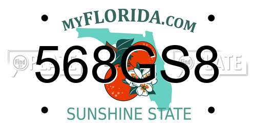 568GS8 Florida License Plate