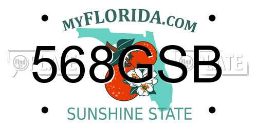 568GSB Florida License Plate