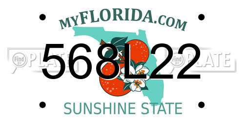 568L22 Florida License Plate