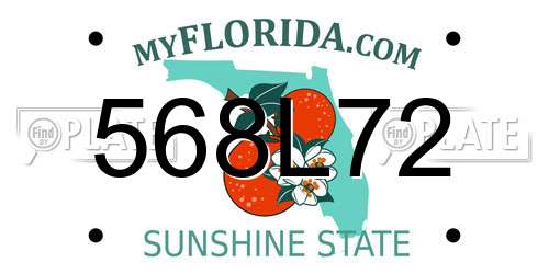568L72 Florida License Plate