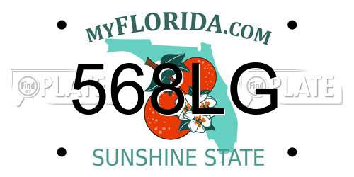 568LG Florida License Plate
