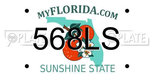 568LS Florida License Plate