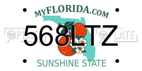 568LTZ Florida License Plate