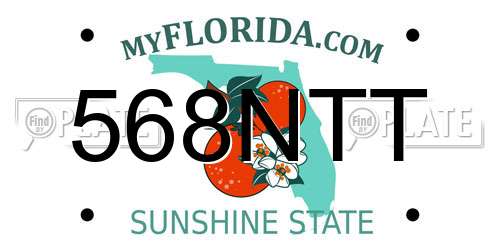 568NTT Florida License Plate
