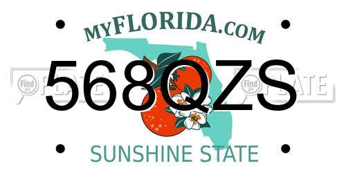 568QZS Florida License Plate