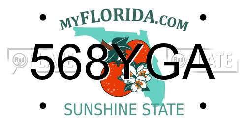 568YGA Florida License Plate