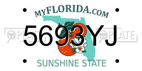 5693YJ Florida License Plate