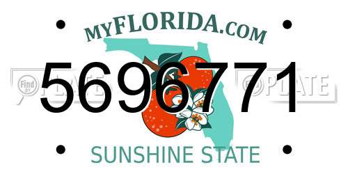 5696771 Florida License Plate