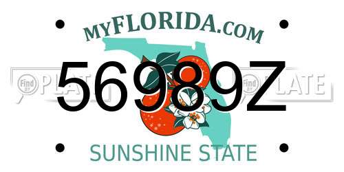 56989Z Florida License Plate