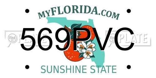 569PVC Florida License Plate