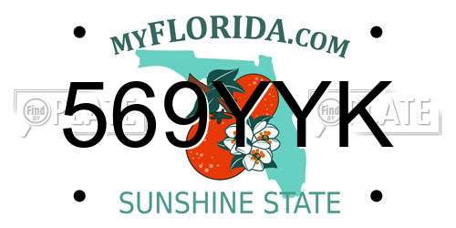 569YYK Florida License Plate