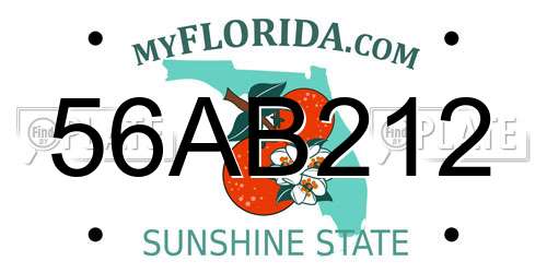 56AB212 Florida License Plate