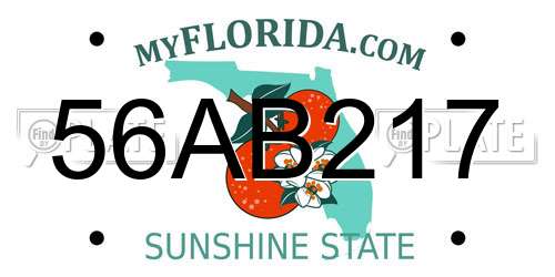 56AB217 Florida License Plate