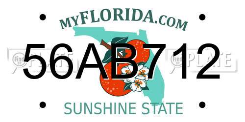 56AB712 Florida License Plate