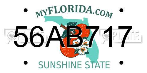 56AB717 Florida License Plate