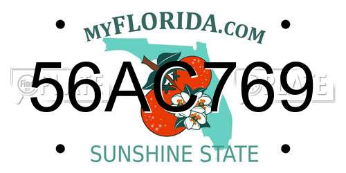 56AC769 Florida License Plate