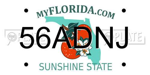 56ADNJ Florida License Plate